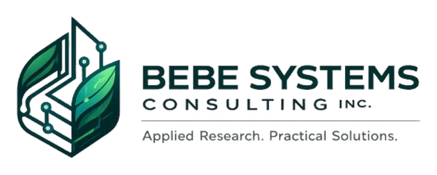 Bebe Systems Consulting Inc.